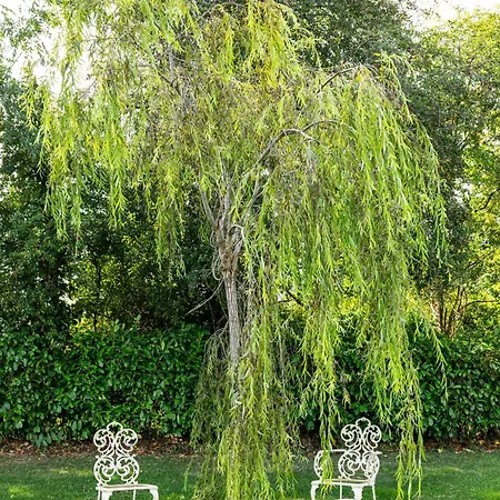 Villa Sallymount House *