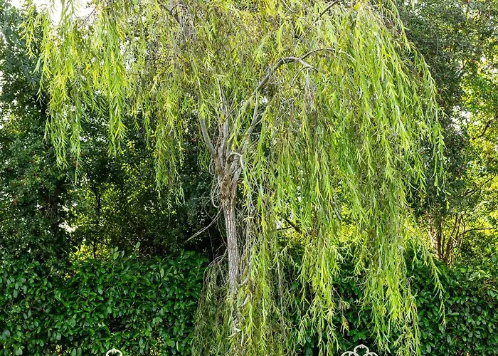 Villa Sallymount House *